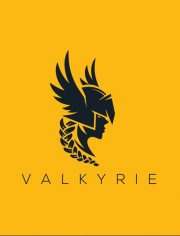 Valkyrie Squadron