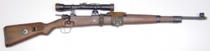 Dressellian projectile rifle scoped.jpg